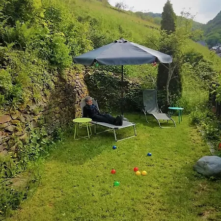 Zum Froehlichen Weinberg Cochem