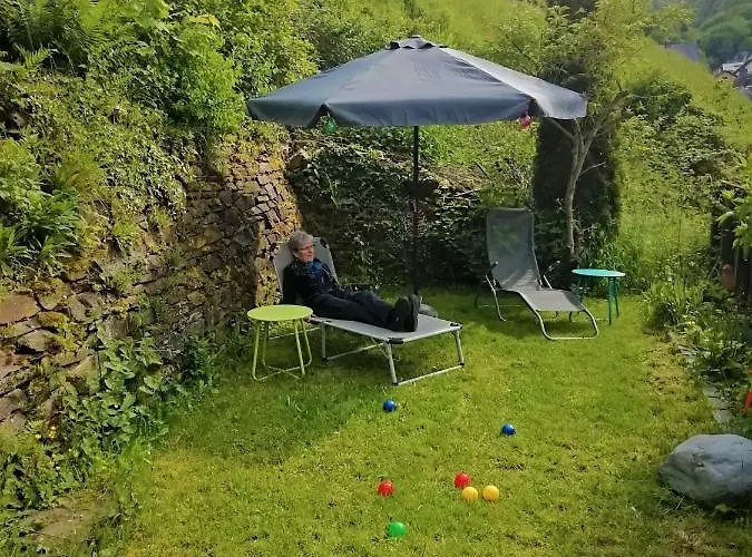 Zum Froehlichen Weinberg Кохем